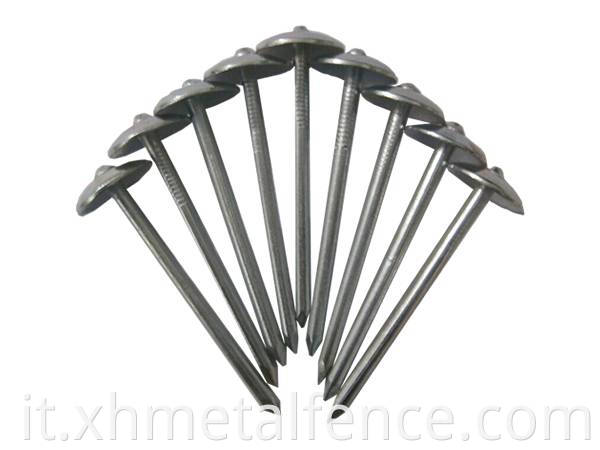 Perfect Durability Iron Nail Roofing Nail